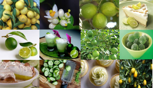 Key Lime Mix Citrus aurantifolia