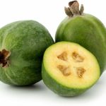 Feijoa, Pineapple guava fruit, seeds for sale